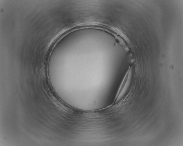 X0000074011356200609111613