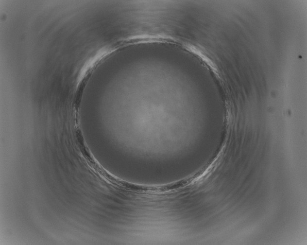 X0000074011357200609111613