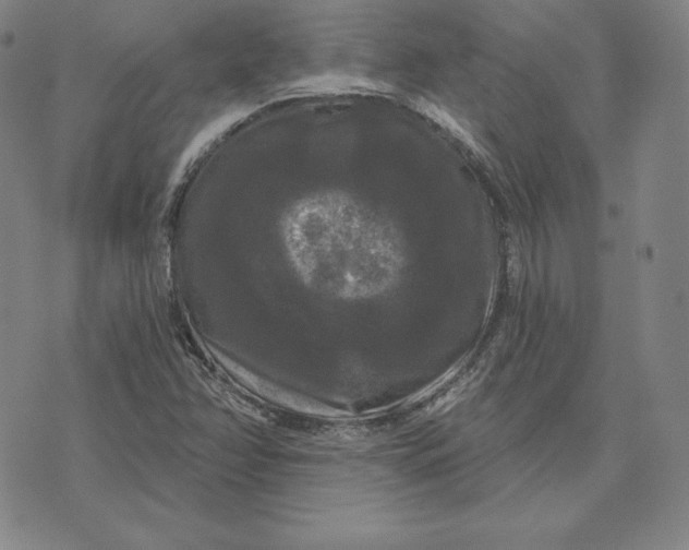 X0000074011358200609111613