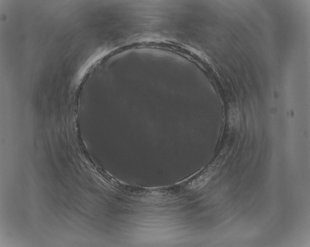 X0000074011359200609111613