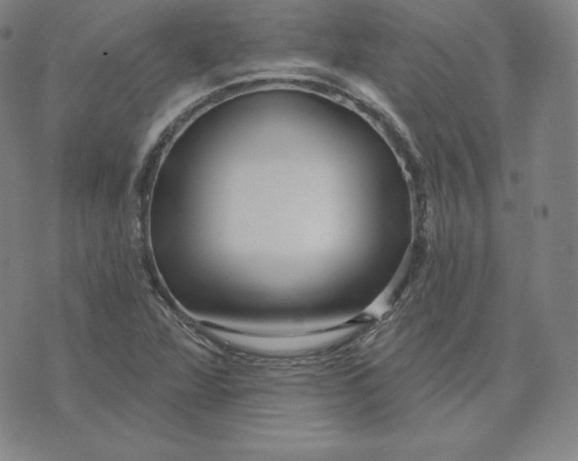 X0000074011360200609111613