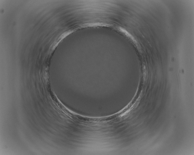 X0000074011361200609111613