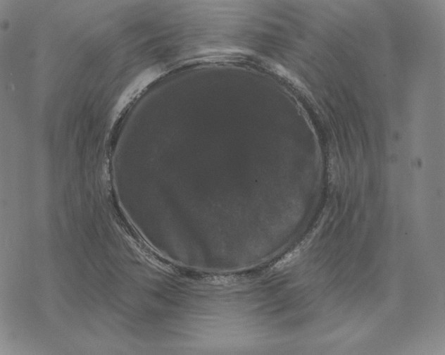 X0000074011362200609111613