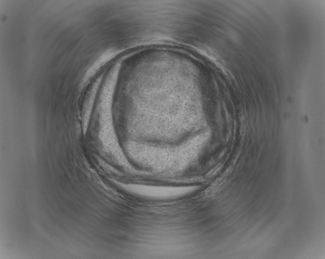 X0000074011363200609111613