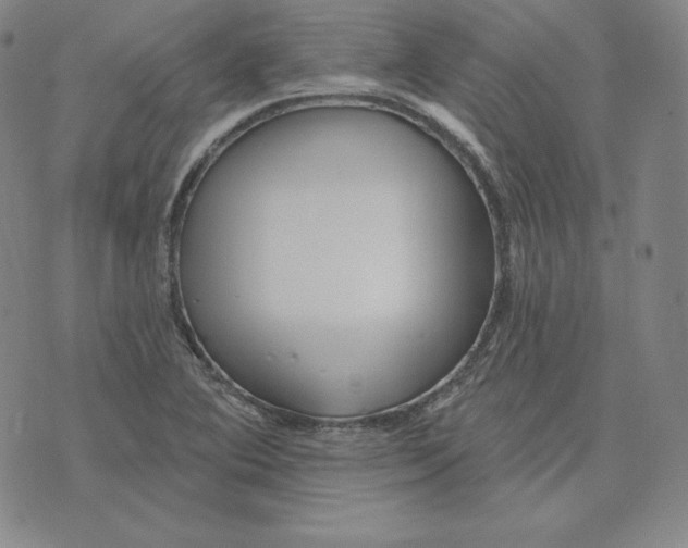 X0000074011364200609111613