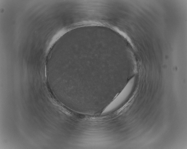 X0000074011365200609111613