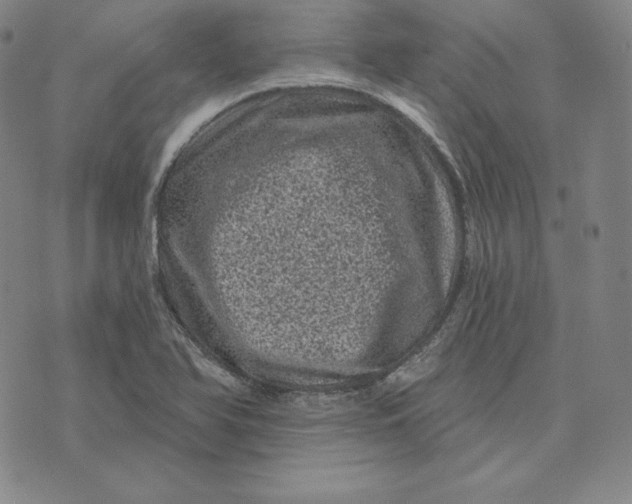 X0000074011366200609111613