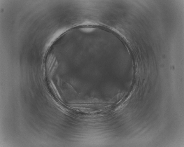 X0000074011367200609111613