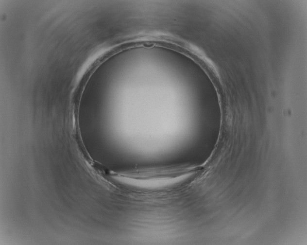 X0000074011368200609111613