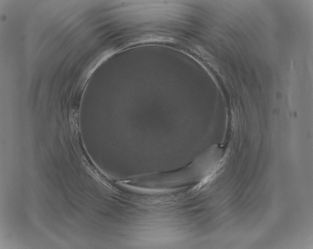 X0000074011369200609111613