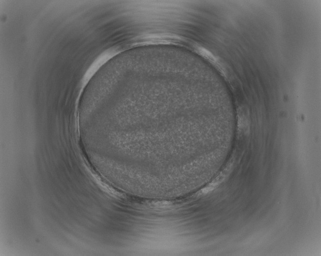 X0000074011370200609111613