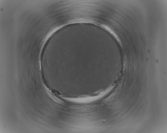 X0000074011372200609111613