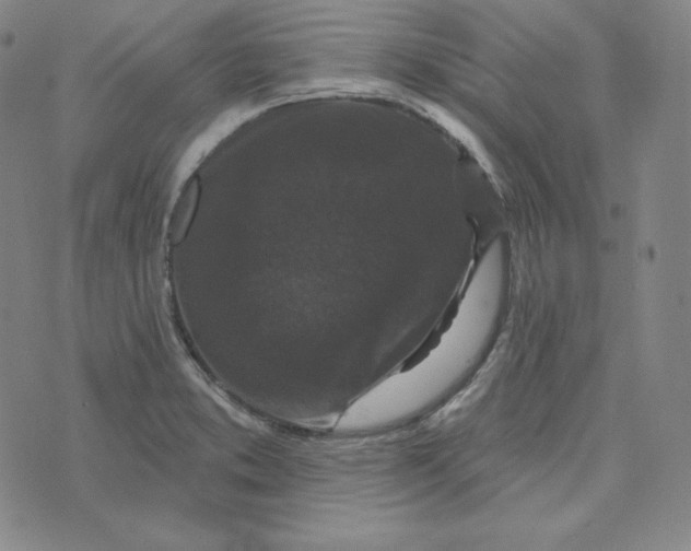 X0000074011373200609111613