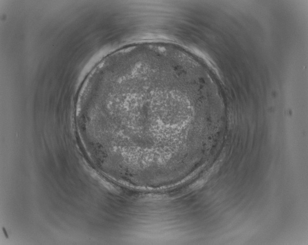 X0000074011374200609111613