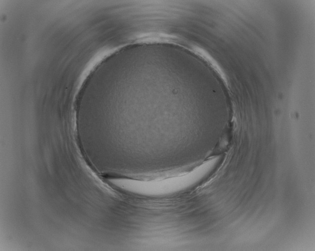 X0000074011376200609111613