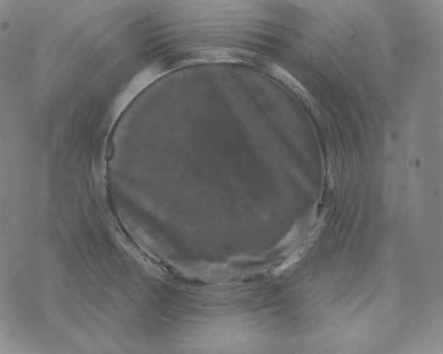 X0000074011378200609111613