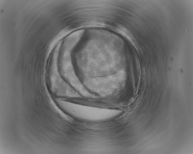 X0000074011379200609111613