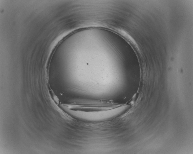 X0000074011380200609111613