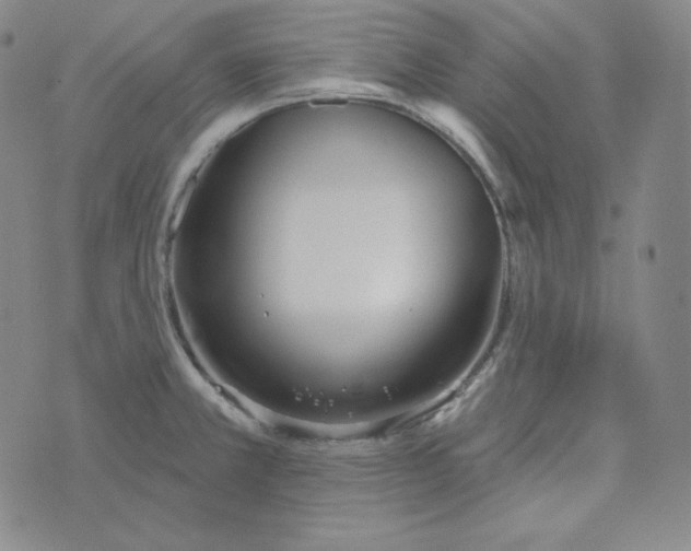 X0000074011381200609111613