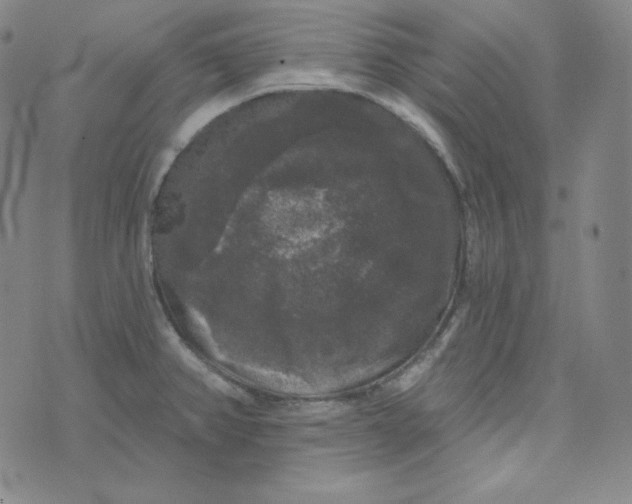 X0000074011382200609111613