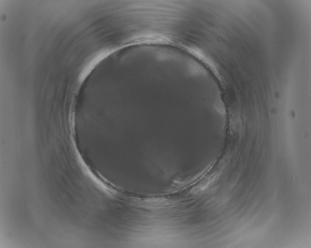 X0000074011383200609111613