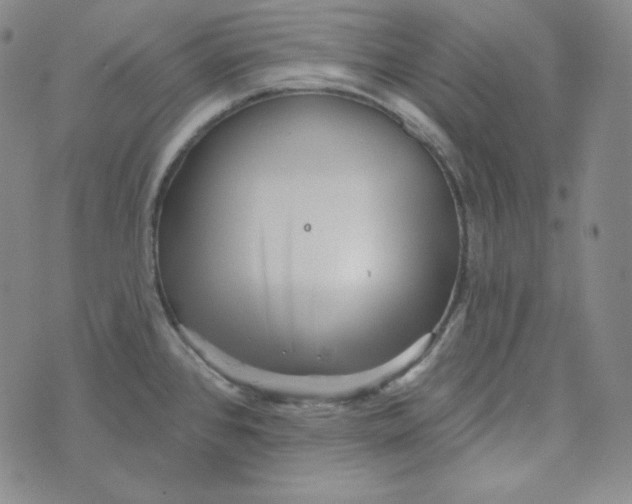 X0000074011384200609111612