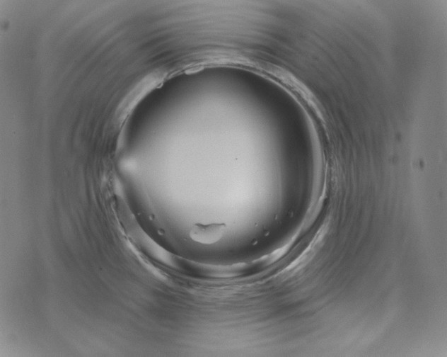 X0000074011385200609111612