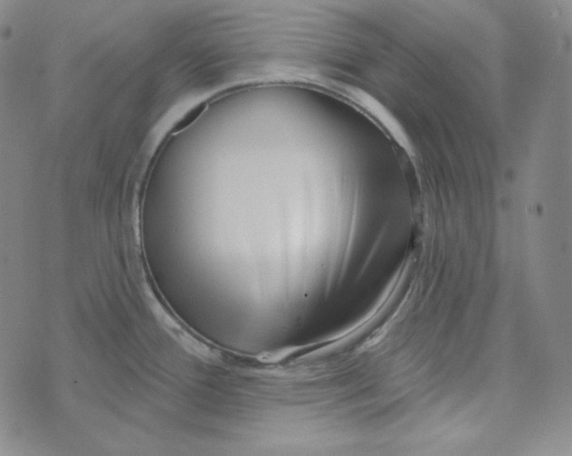 X0000074011388200609111612