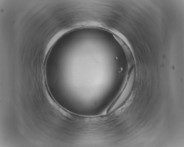 X0000074011389200609111612