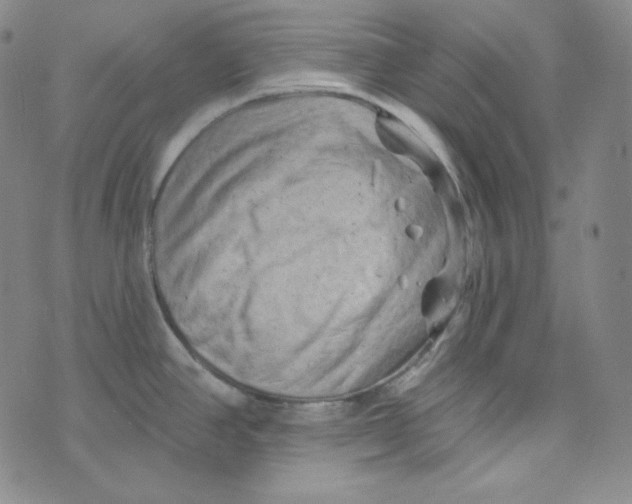 X0000074011390200609111612