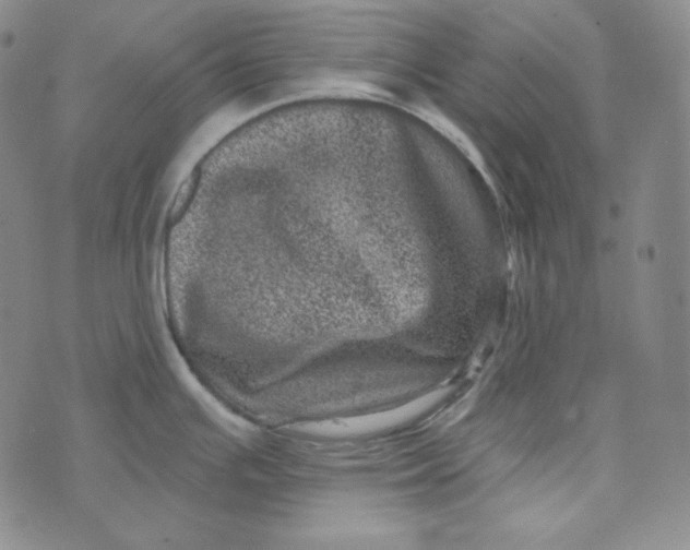 X0000074011391200609111612