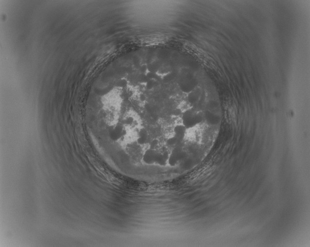 X0000074011393200609111612