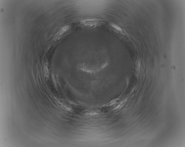 X0000074011394200609111612