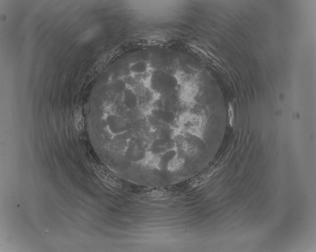 X0000074011395200609111612