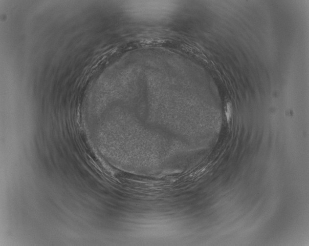 X0000074011396200609111612