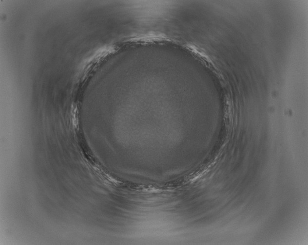 X0000074011398200609111612