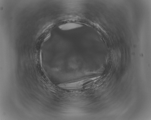 X0000074011399200609111612