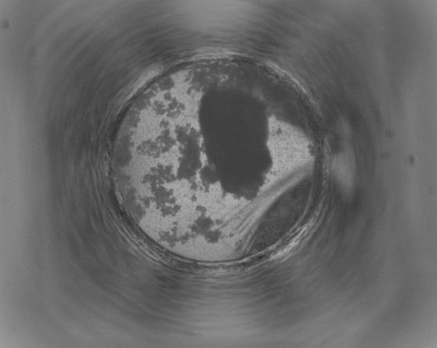 X0000074011401200609111612