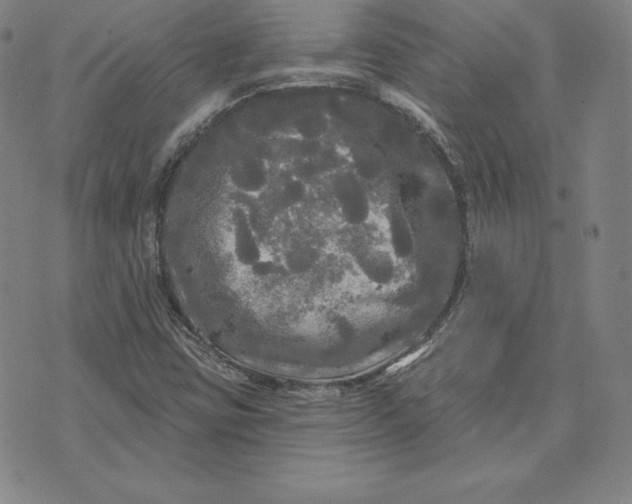 X0000074011403200609111612