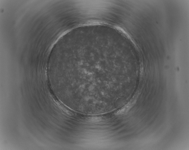 X0000074011409200609111612