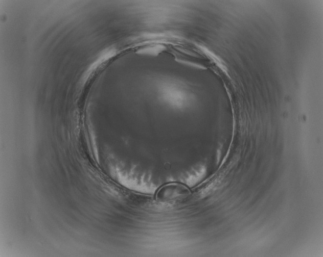 X0000074011411200609111612