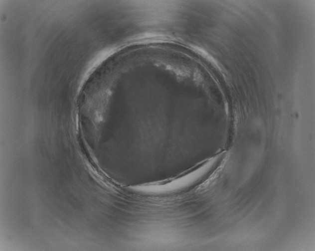 X0000074011413200609111612