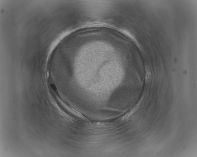 X0000074011414200609111612