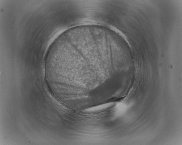 X0000074011415200609111612