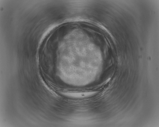 X0000074011416200609111612