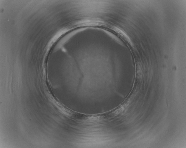 X0000074011419200609111612