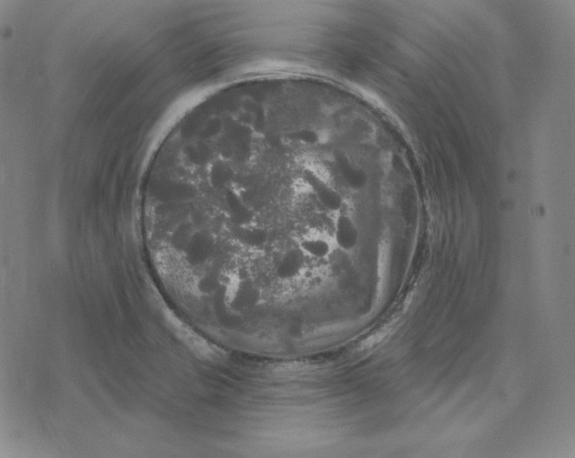 X0000074011421200609111612