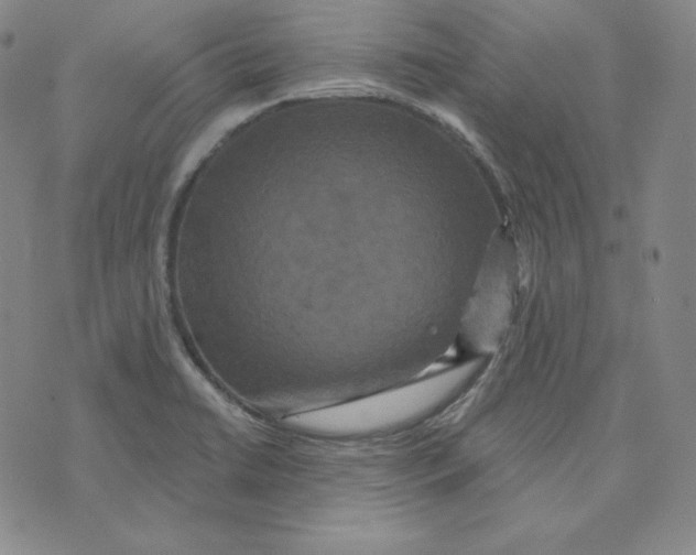 X0000074011422200609111612