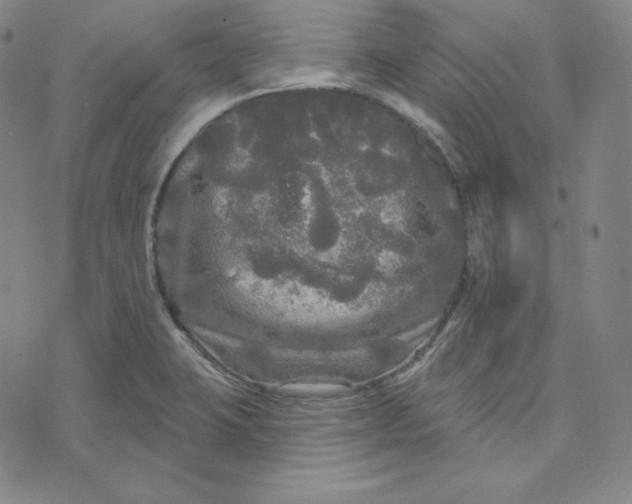 X0000074011423200609111612