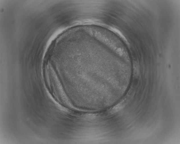 X0000074011424200609111612